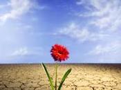 Etre ??tre??? coach??