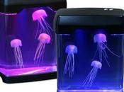 veux aquarium méduses