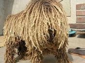 C'est toujours pareil.