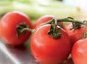 Tartare tomates